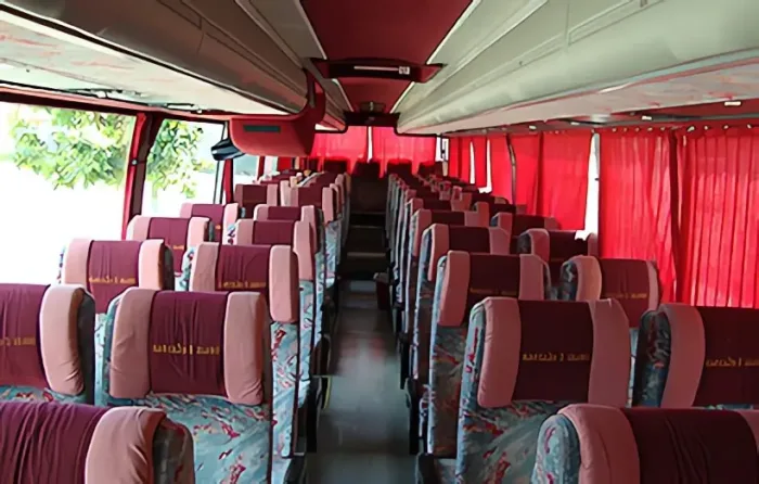 Autobús de 52 plazas + Guía + Conductor